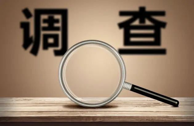 中山侦探在面对复杂的调查任务时如何处理？